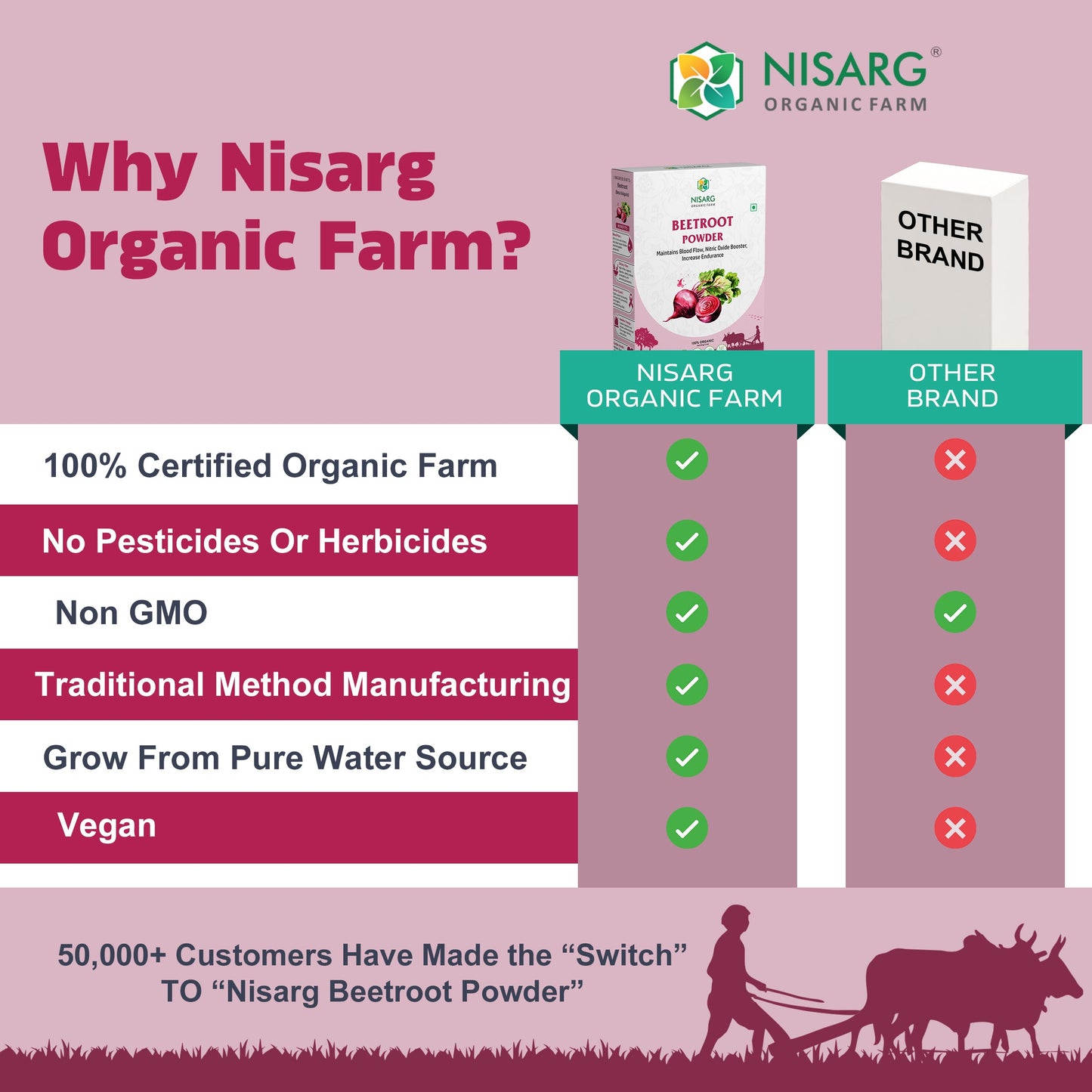 Organic Beet Root Powder