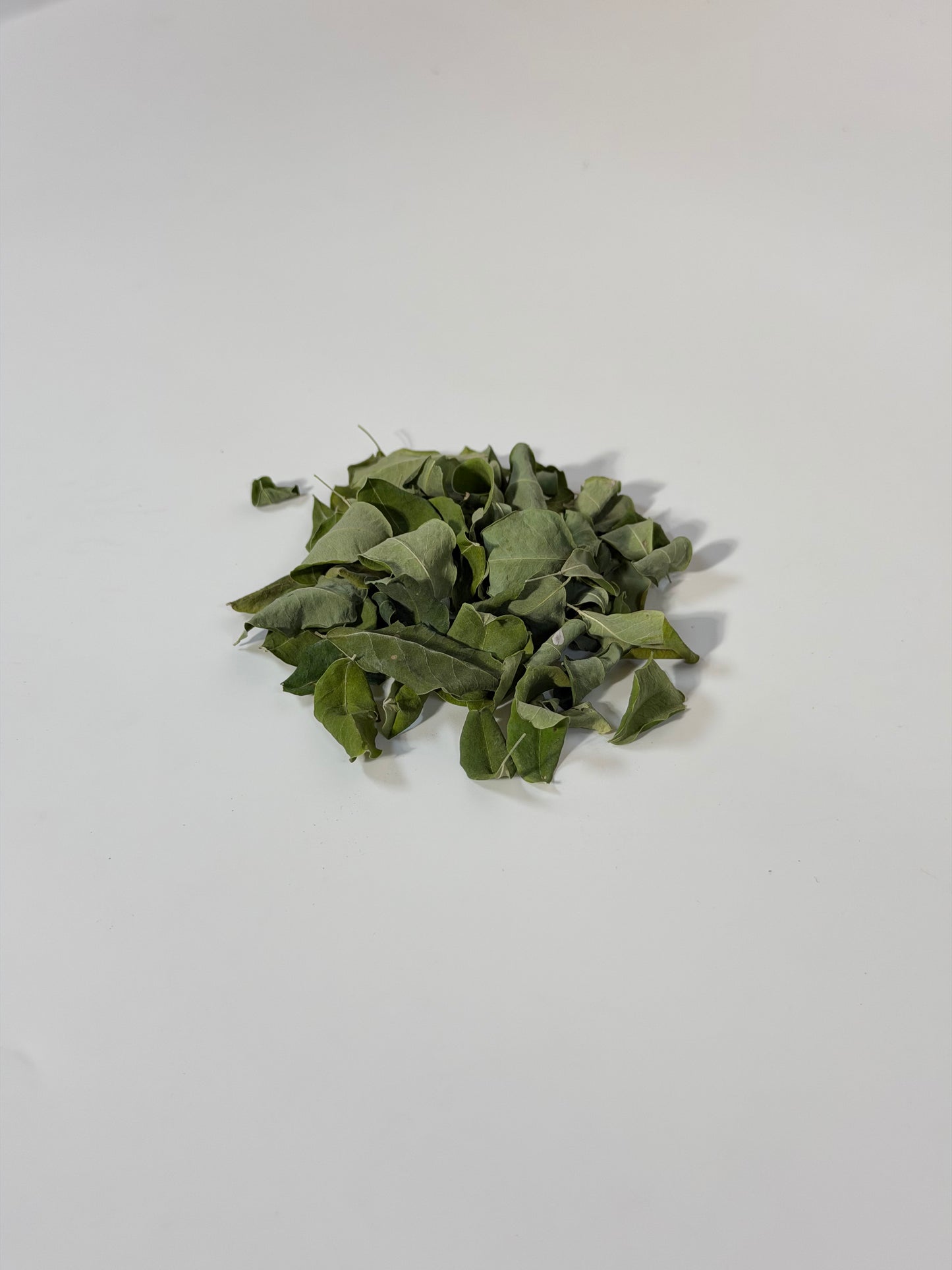 Raw Sun Dired Moringa Leaves