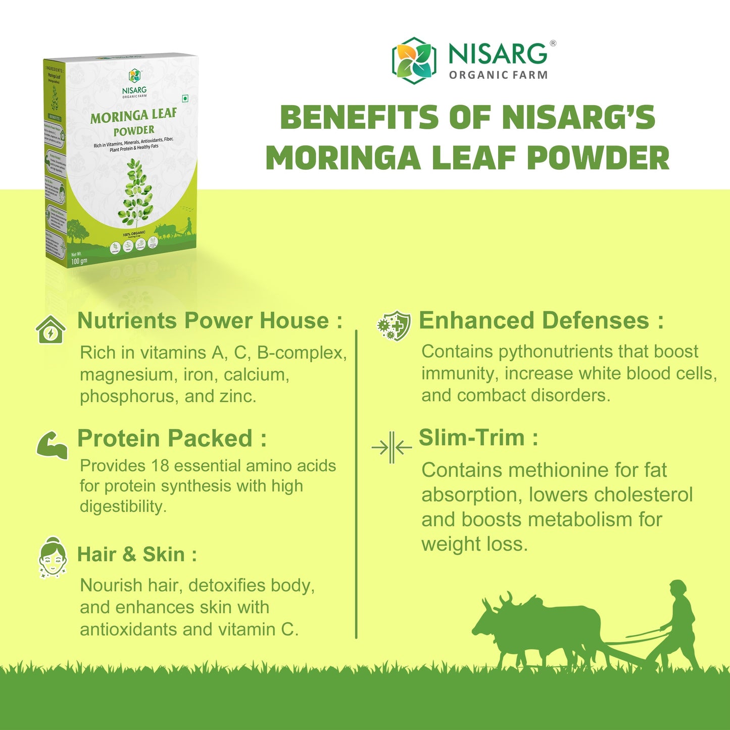 Moringa Leaf Powder | Pure & Organic
