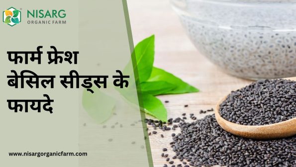 सब्जा के बीज के फायदे