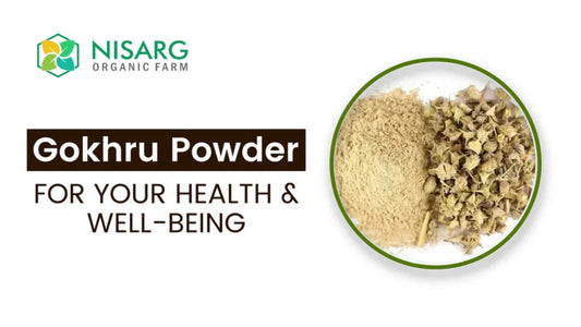 Gokhru powder benefits for men's stamina and testosterone