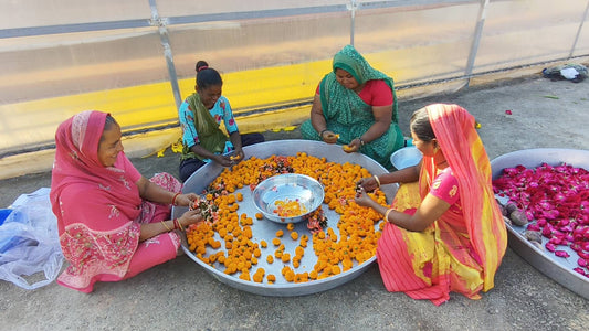 Organic Holi colours from Nisarg Organic Farm