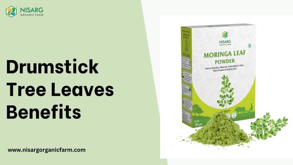 Drumstick tree leaves benefits for health and energy