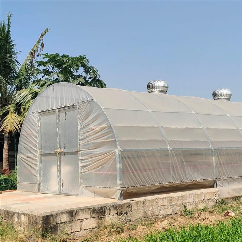 Polyhouse for shade-drying organic herbs at Nisarg Organic Farm