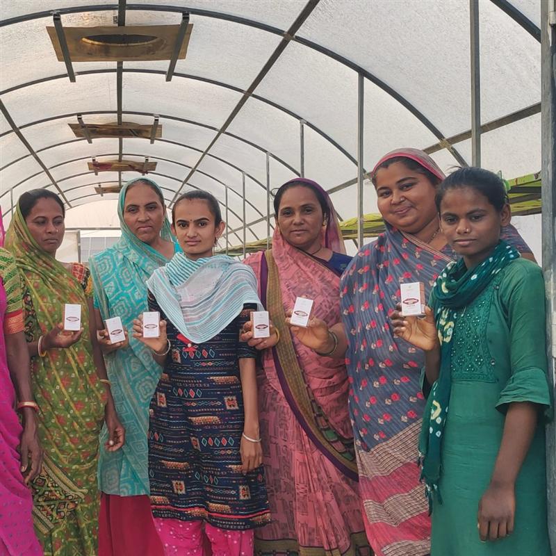 Women farm team of Nisarg Organic Farm with finished herbal products in the polyhouse
