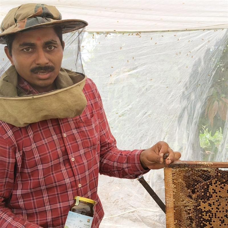 Beekeeper inspecting a honey frame at Nisarg Organic Farm - raw honey from our own hives