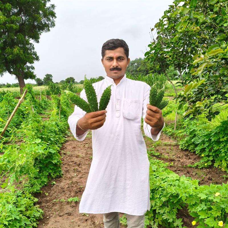 Farmer holding freshly harvested herbs in the field at Nisarg Organic Farm, Gujarat
