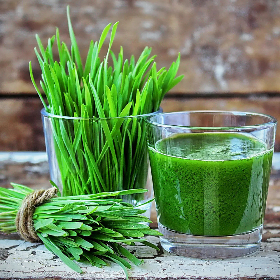 Fresh wheatgrass and a glass of wheatgrass juice