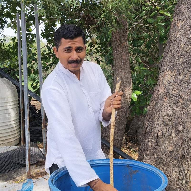 Farmer preparing organic manure and jeevamrut in a drum at Nisarg Organic Farm