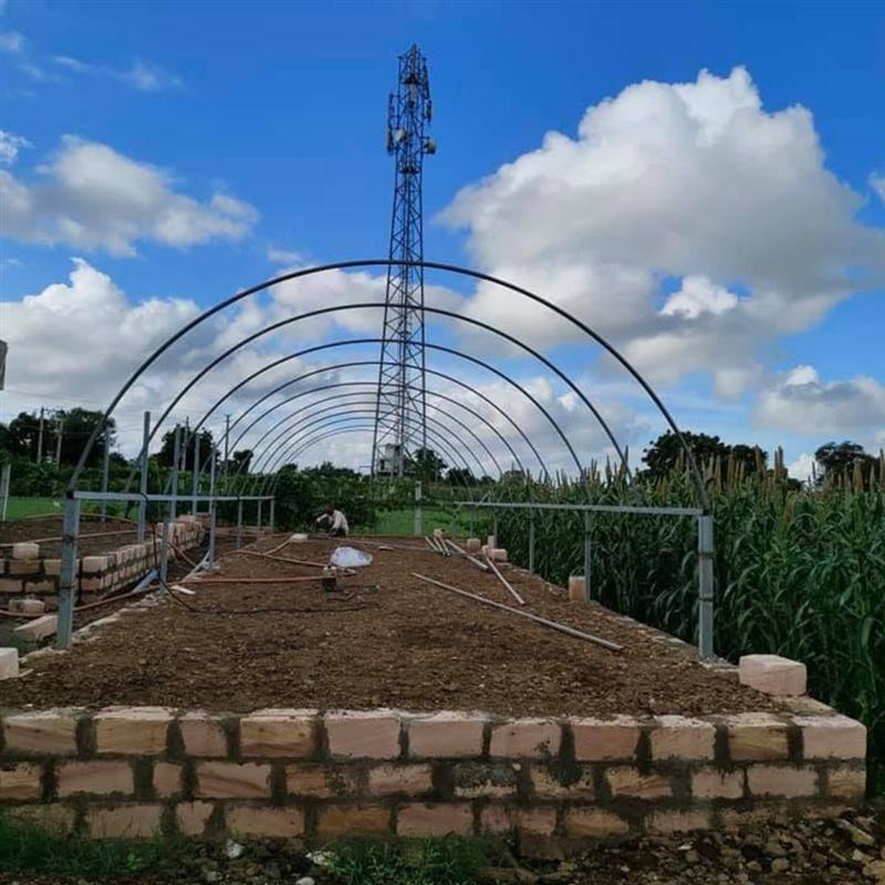 Polyhouse structure being built for shade-drying herbs at Nisarg Organic Farm