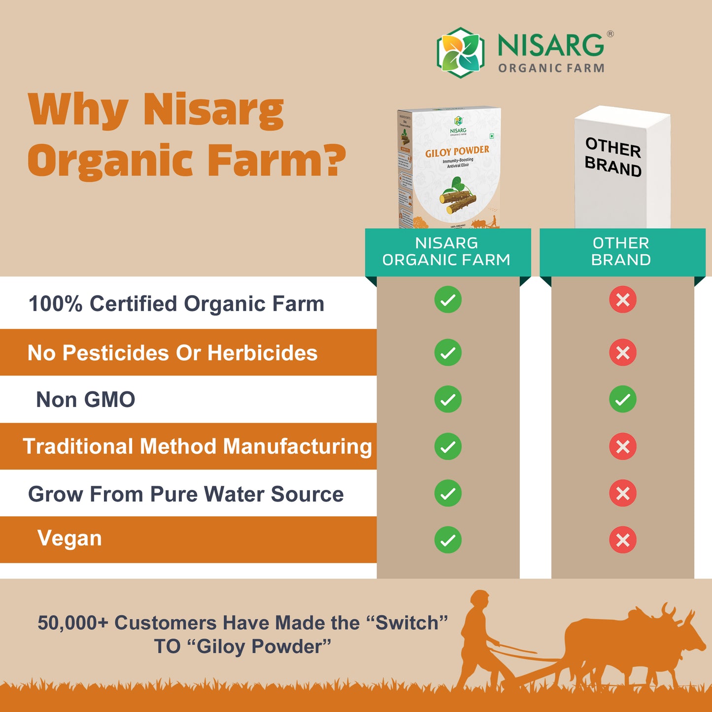 Organic Neem Giloy Powder | Guduchi Powder