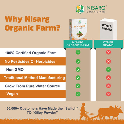 Organic Neem Giloy Powder | Guduchi Powder