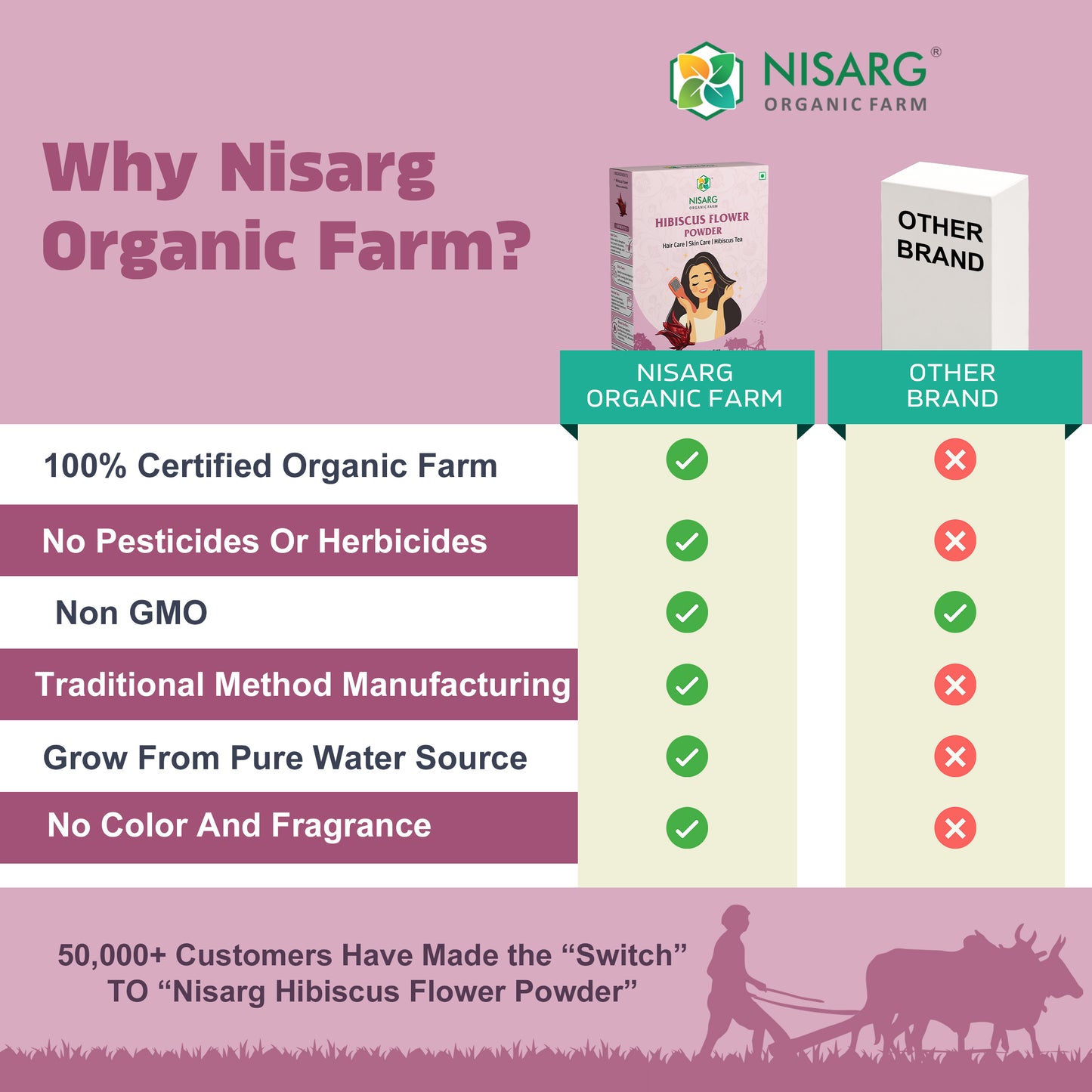 Organic Hibiscus Powder | Hibiscus Flower Powder