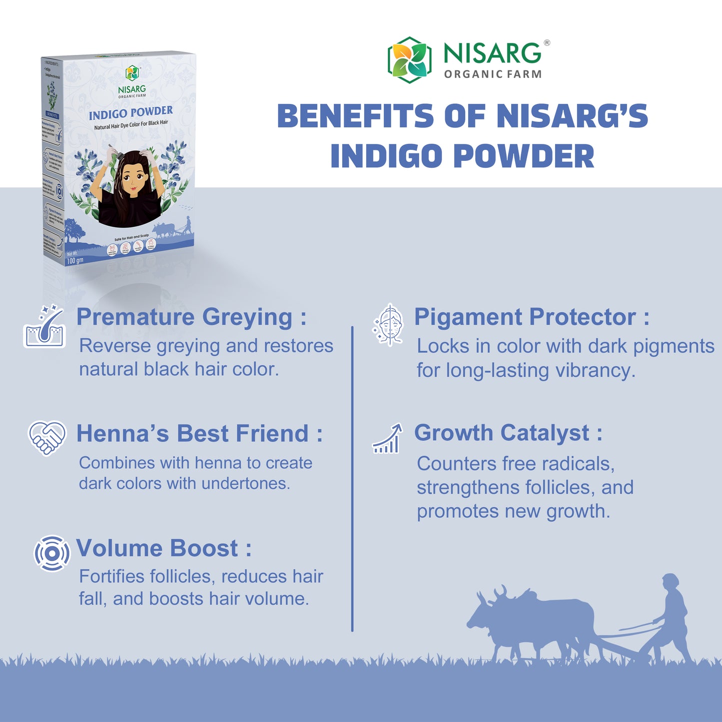 Natural Indigo Powder | Organic Indigo Leaf Powder
