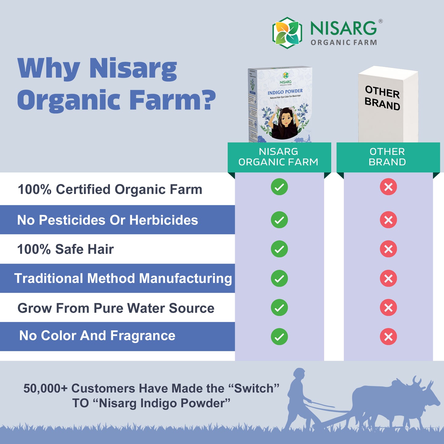 Natural Indigo Powder | Organic Indigo Leaf Powder