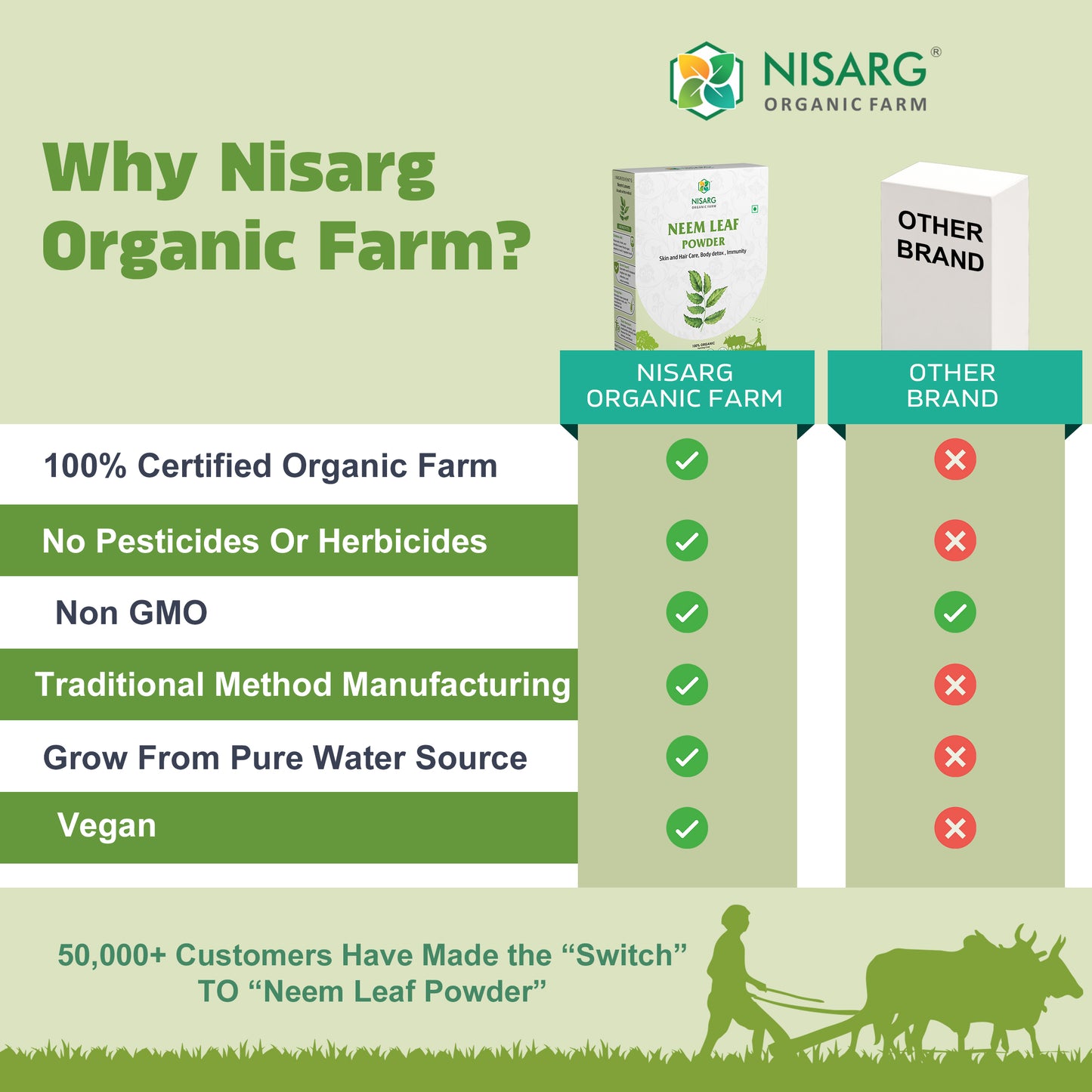 Organic Neem Leaf Powder | Neem Powder For Skin