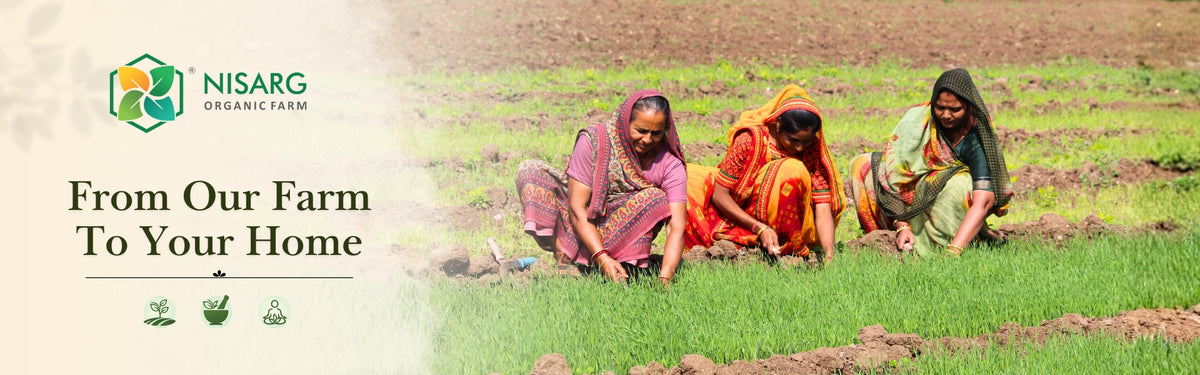 Women farmers working in the field at Nisarg Organic Farm