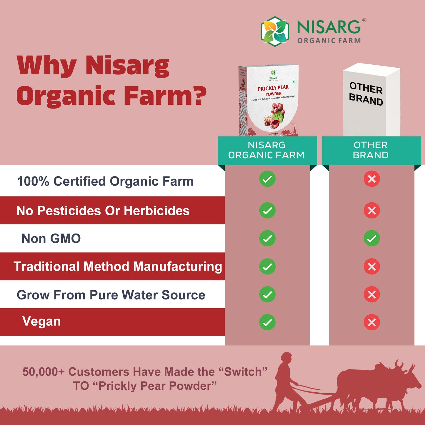 Organic Prickly Pear Powder | Findla Fruit Powder