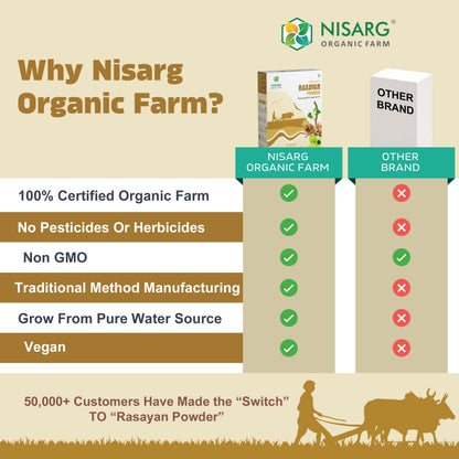 Vitamin B12 Supplement | 100% Organic | Plant Based