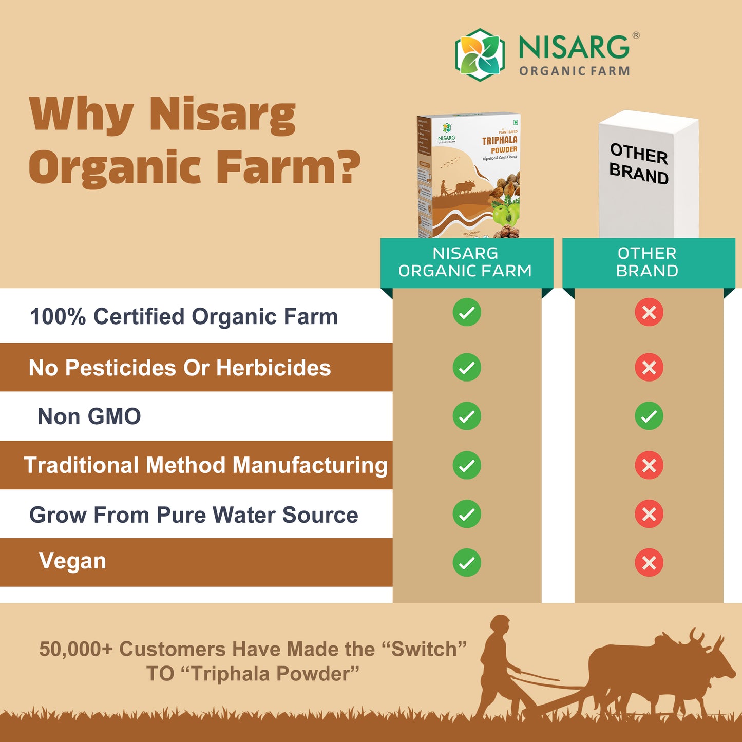 Organic Triphala Powder – For Digestion | Glowing Skin | Weight Loss