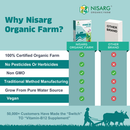 Vitamin B12 Supplement | 100% Organic | Plant Based