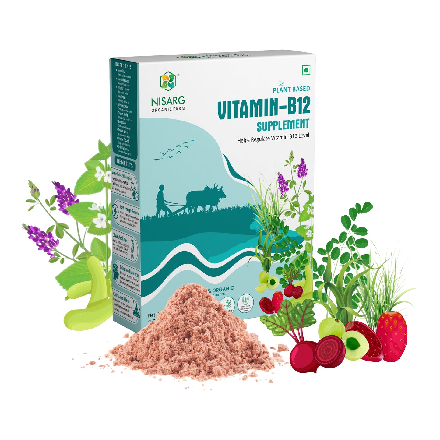 Vitamin B12 Supplement | 100% Organic | Plant Based