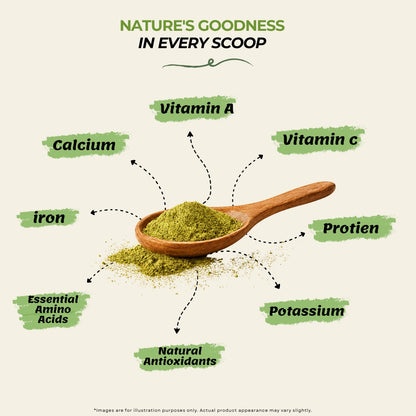 Moringa Leaf Powder | Pure & Organic