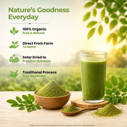 Moringa Leaf Powder | Pure & Organic