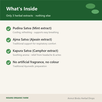 Amrut Bindu ingredients – pudina satva, ajma satva, kapura satva