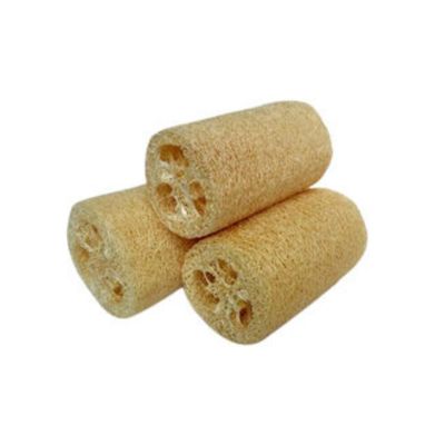 Natural Scrubber For Face (3 Pcs) | 100% Organic